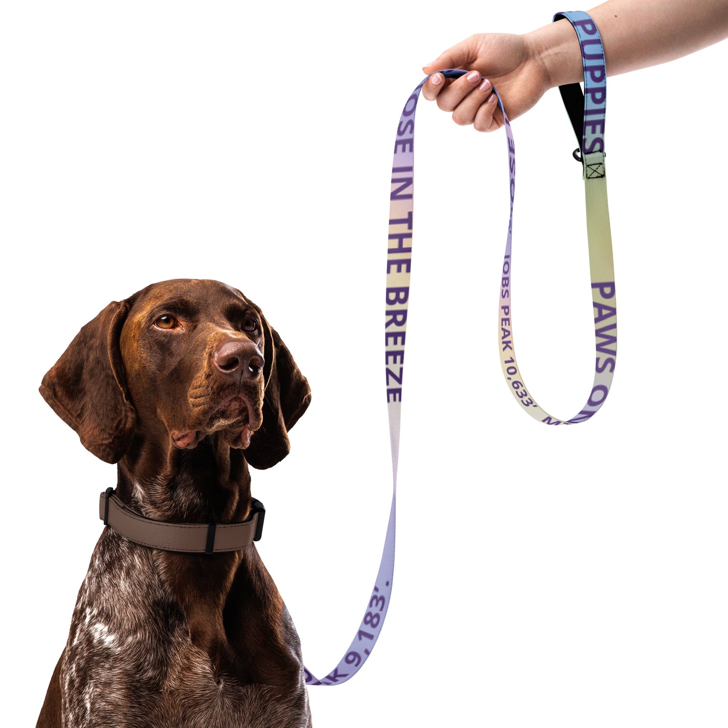 Paws On The Path, Nose In The Breeze 6 ft Leash