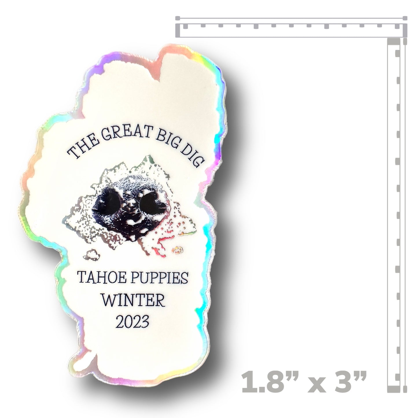 Holographic Sticker, THE GREAT BIG DIG 2023